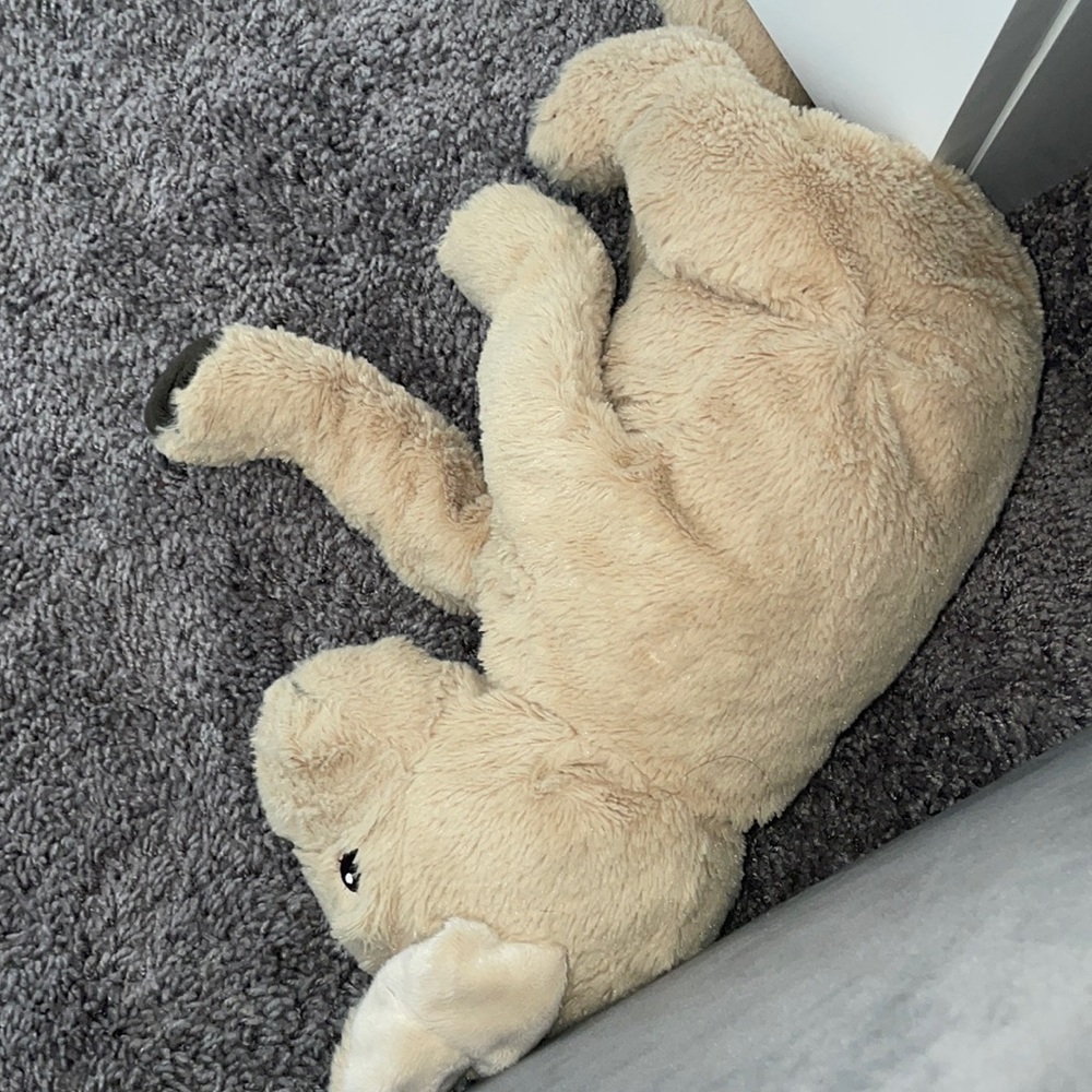 Dog toy
